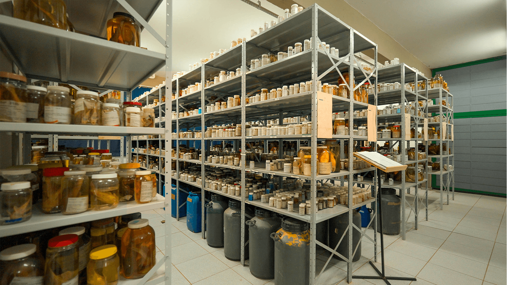 Coleção-Ictiológica-pea_0002_Coleção-Ictiológica-2