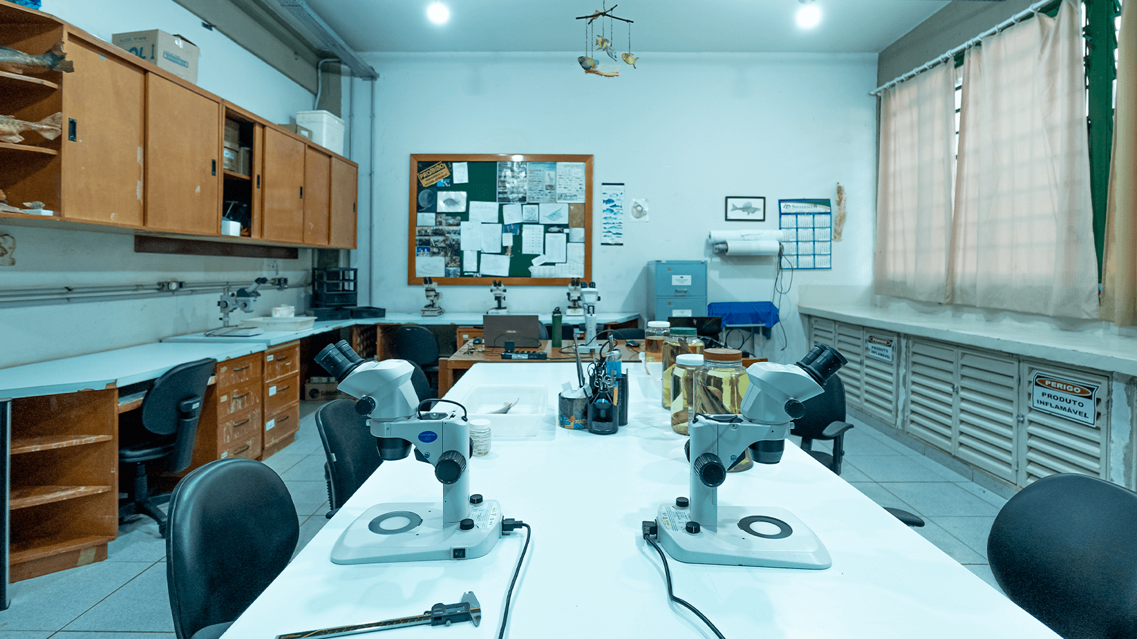 Coleção-Ictiológica-pea_0003_Coleção-Ictiológica-LAB