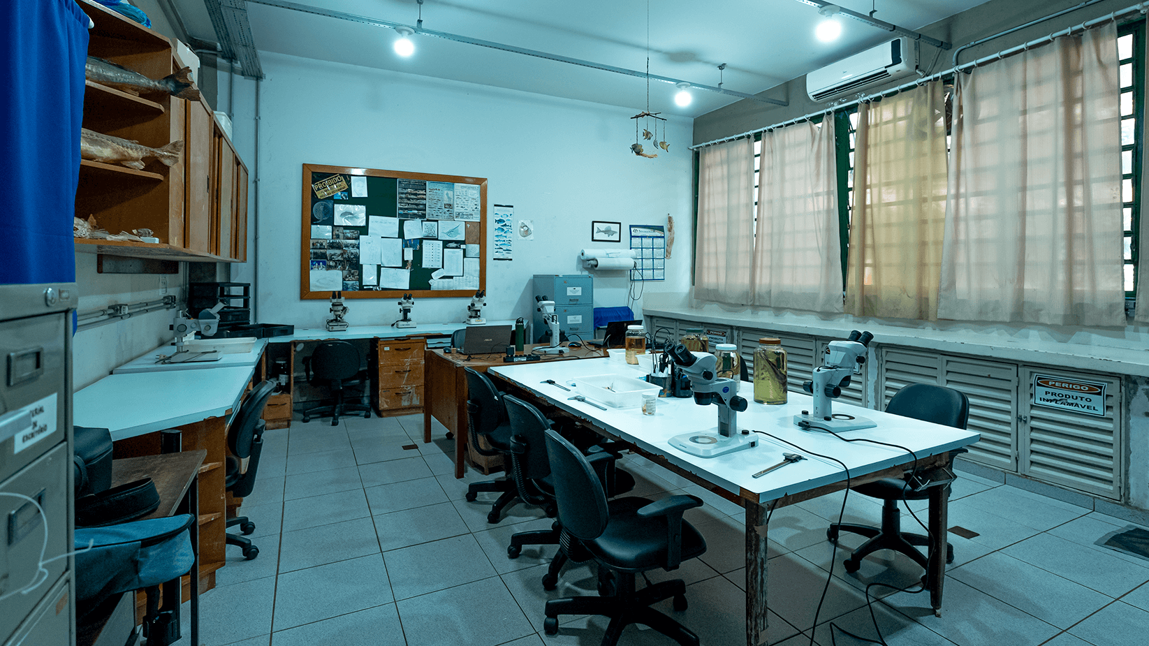 Coleção-Ictiológica-pea_0004_Coleção-Ictiológica-LAB-2