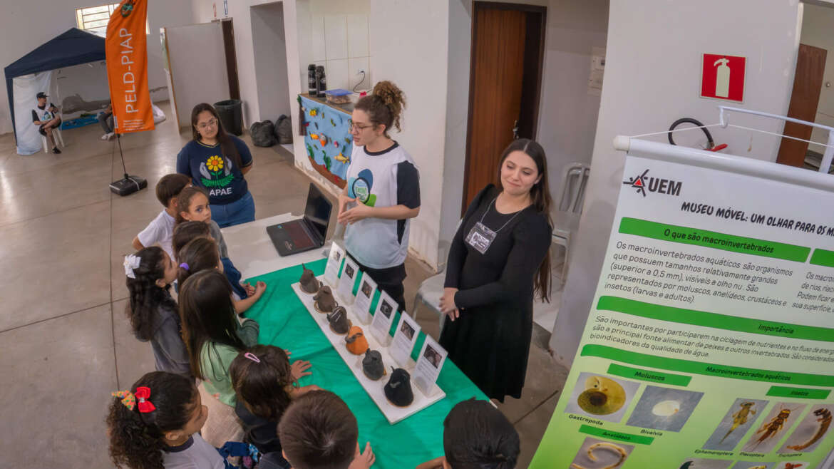 GOPR1599-Enhanced-NR