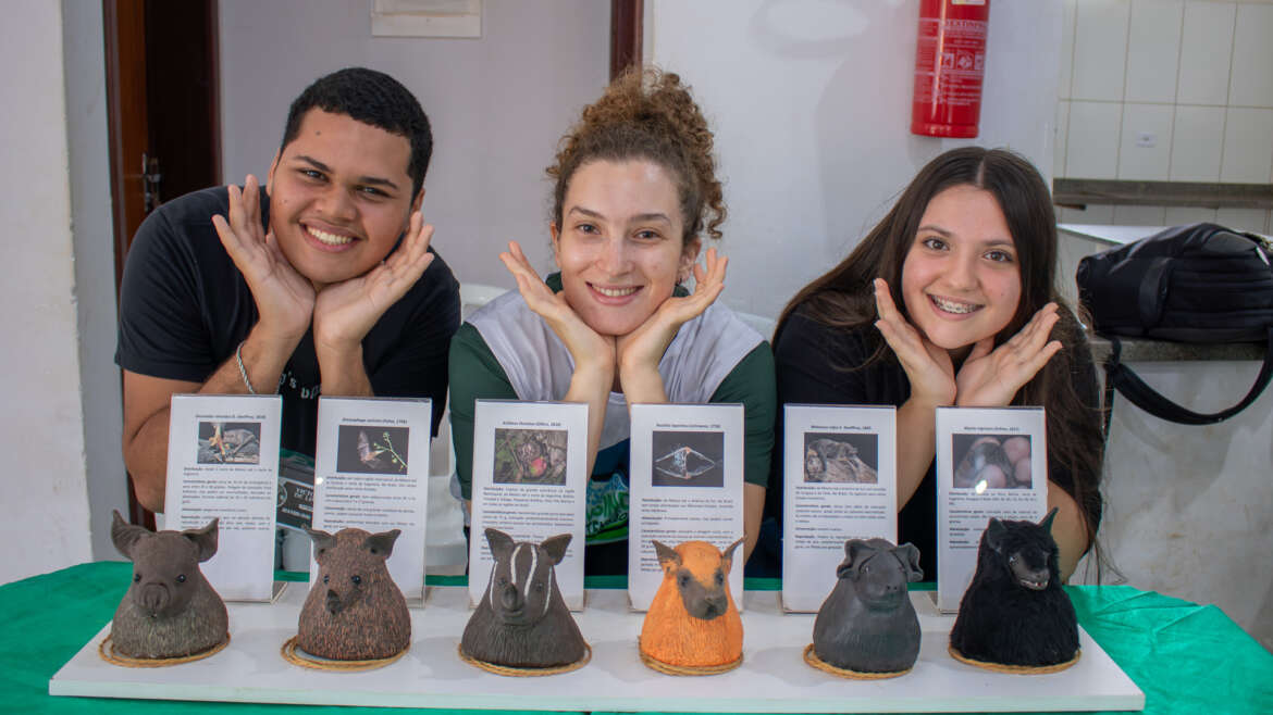 IMG_8378-Enhanced-NR